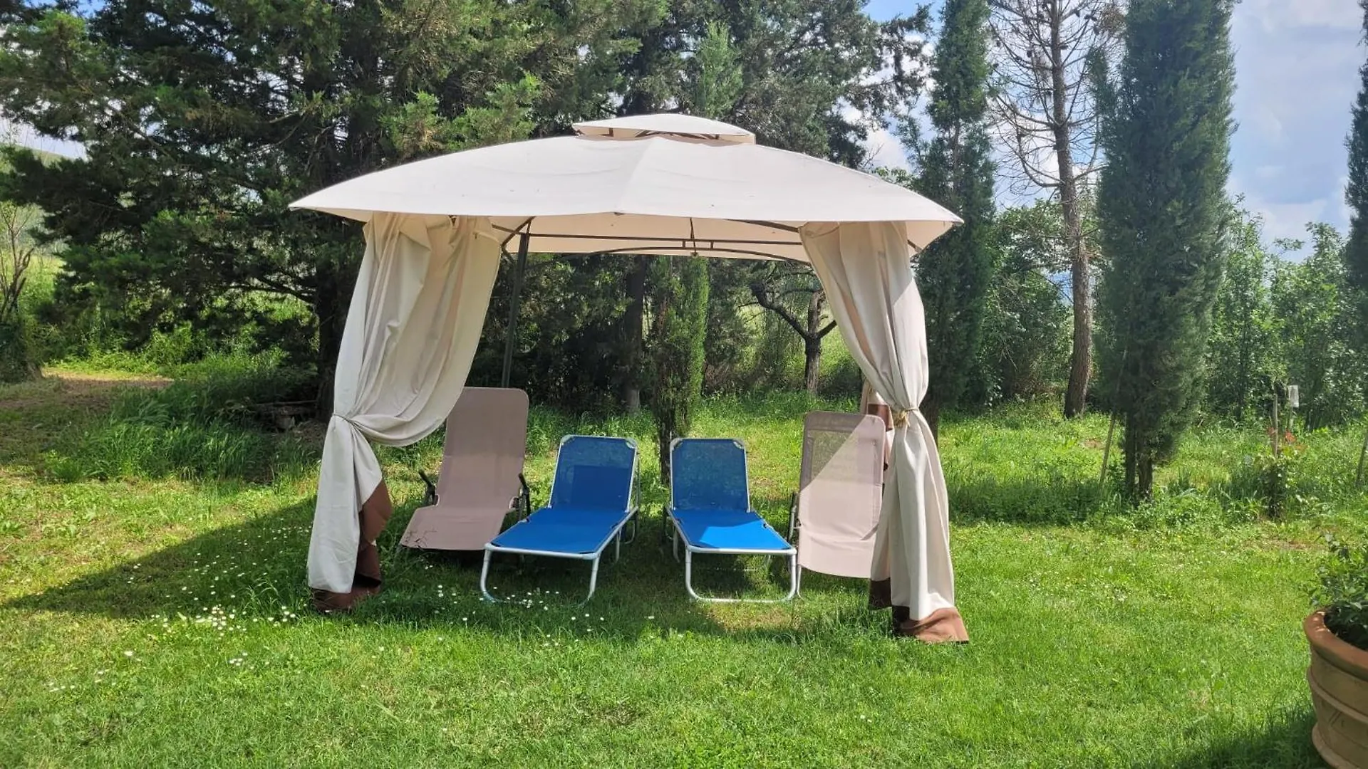 Appartamento Gelsomino Buonconvento Casa vacanze