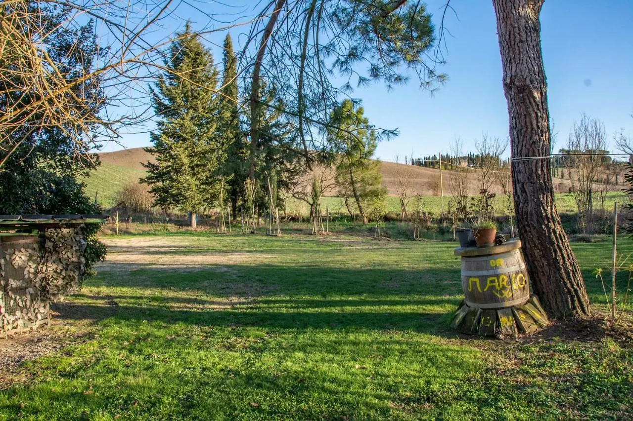 Appartamento Gelsomino Buonconvento Casa vacanze